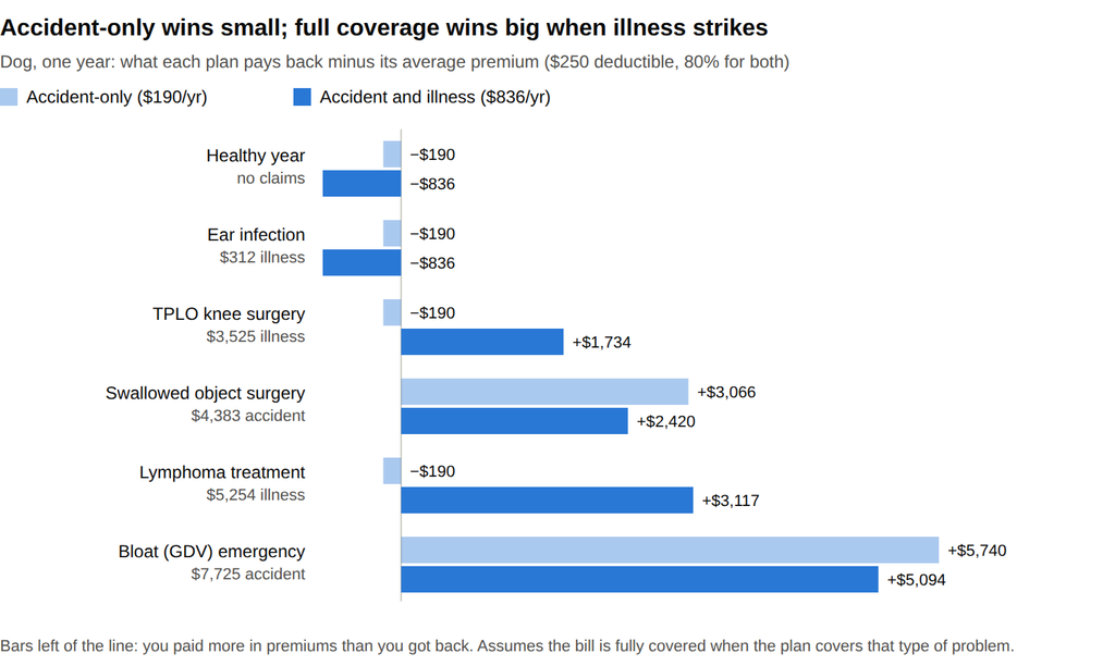 Bar chart of one year on each plan: accident-only loses only $190 in a quiet year and pays back after accidents, but only accident and illness coverage pays back after TPLO surgery or lymphoma