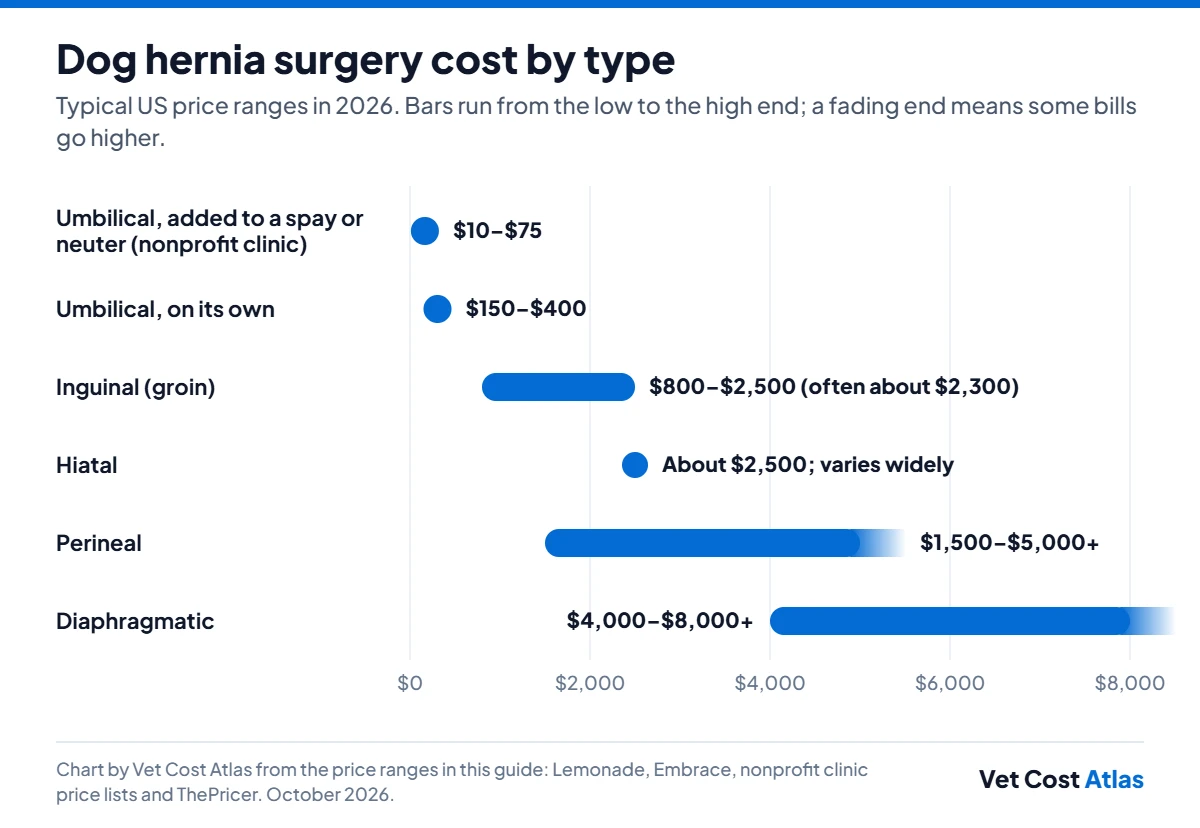 Bar chart of dog hernia surgery cost by type: umbilical during a spay or neuter $10–$75, umbilical alone $150–$400, inguinal $800–$2,500, hiatal about $2,500, perineal $1,500–$5,000 or more, diaphragmatic $4,000–$8,000 or more.