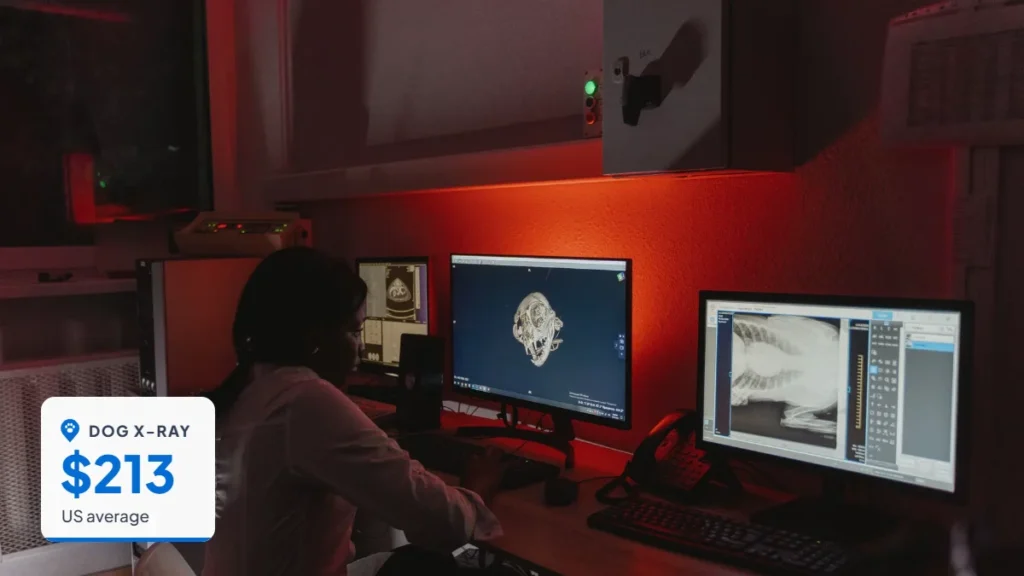 Veterinarian reviewing X-ray images on a computer screen. Badge: Dog X-ray, $213.