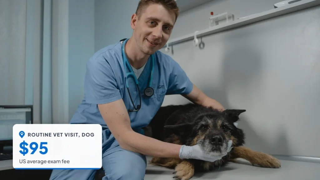 Smiling veterinarian with a black dog on an exam table. Badge: Routine vet visit, dog, $95.