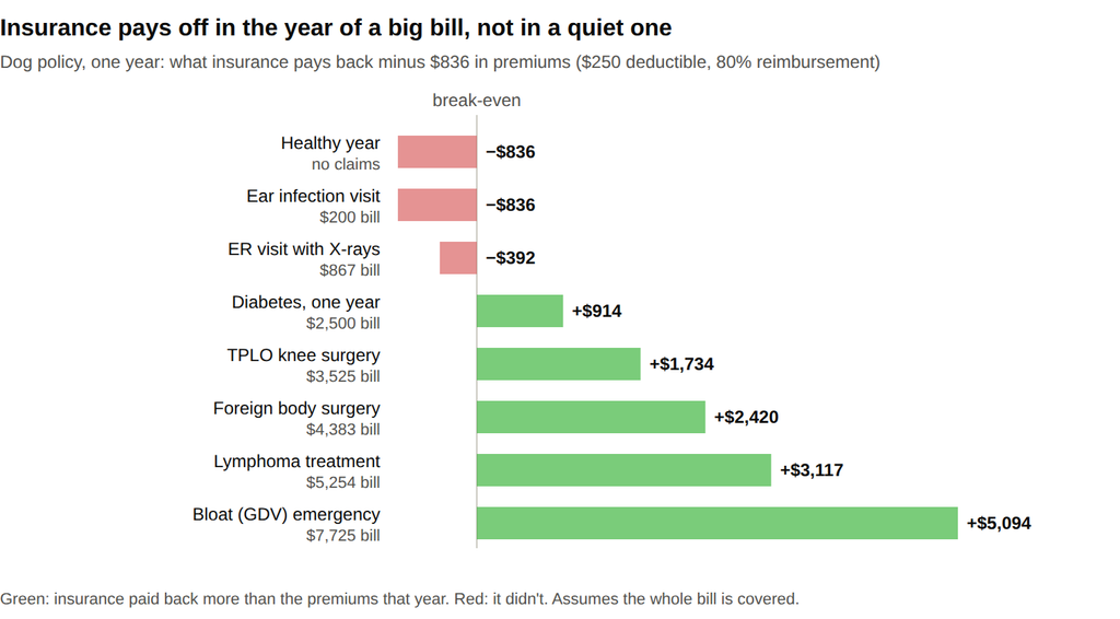 Bar chart: a dog policy costing $836 a year loses money in a healthy year or after a small bill, and comes out $914 to $5,094 ahead in years with bills of $2,500 or more