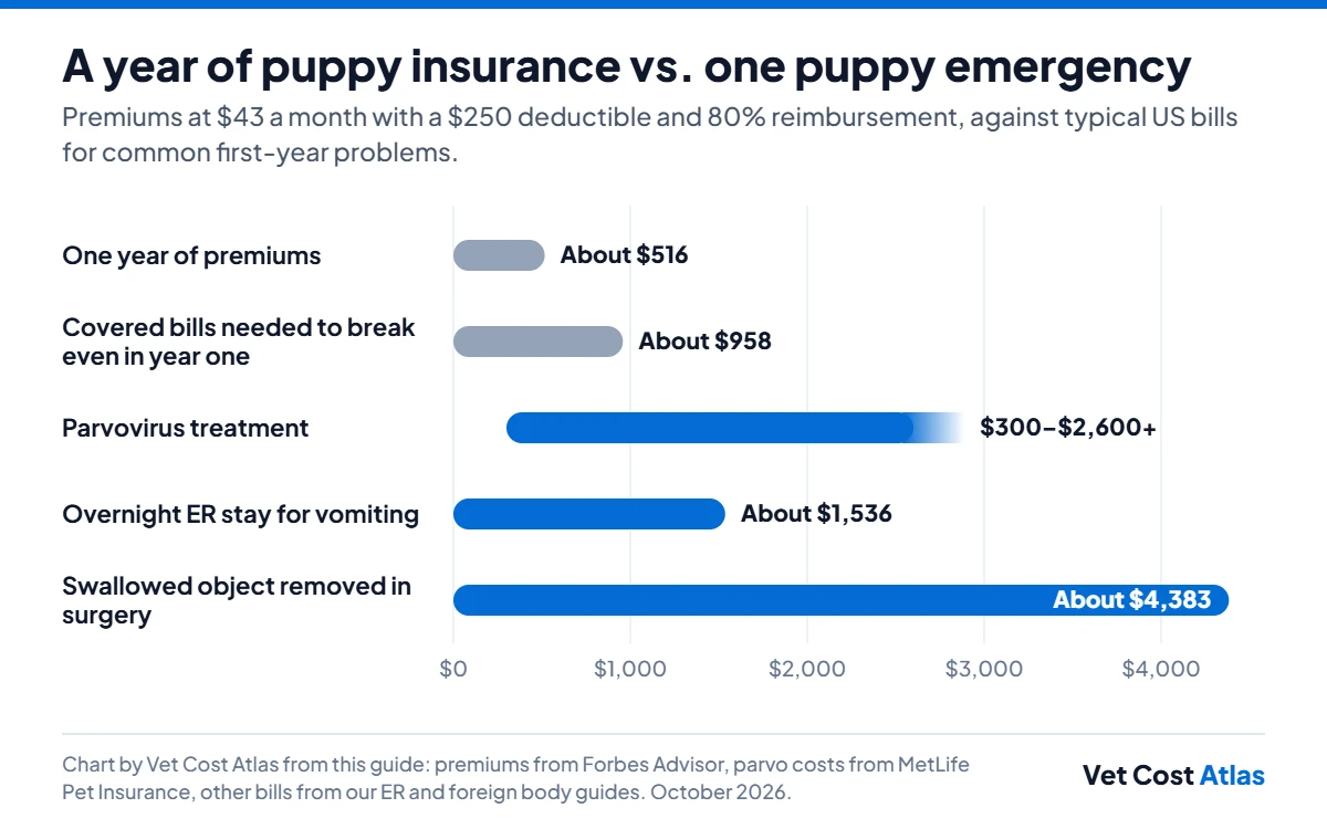 Bar chart comparing a year of puppy insurance premiums, about $516, and the $958 break-even with puppy bills: parvovirus $300–$2,600 or more, an overnight ER stay about $1,536 and swallowed object surgery about $4,383.