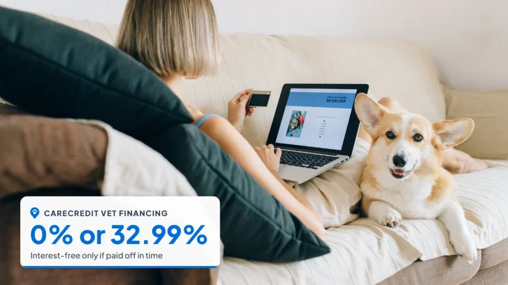 Woman using a laptop on the couch with her corgi beside her. Badge: CareCredit vet financing, 0% or 32.99%.